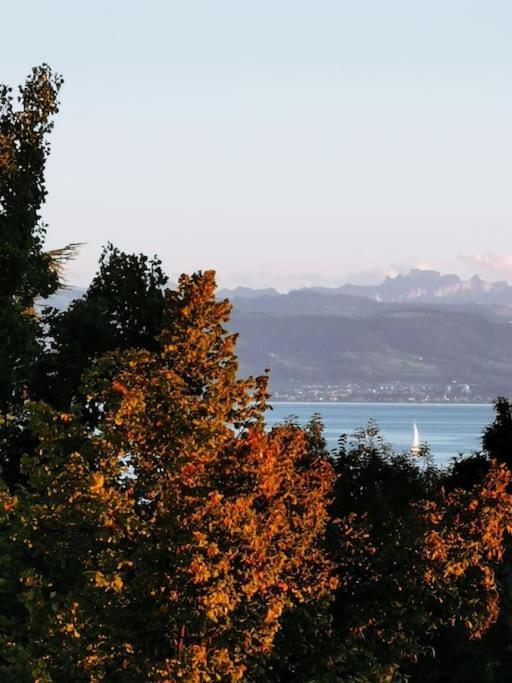 Wohnen Direkt Am Uferpark Mit Grossem Balkon Und Seeblick FDH Eksteriør billede