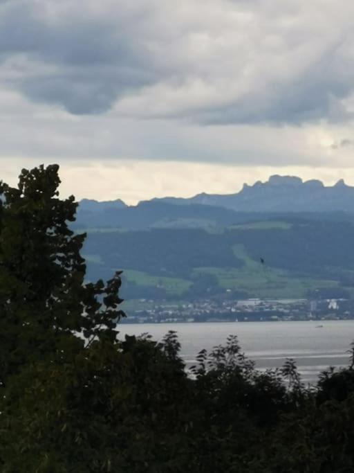 Wohnen Direkt Am Uferpark Mit Grossem Balkon Und Seeblick FDH Eksteriør billede